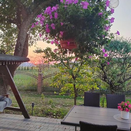 Apartamenty U Maksa Krzywcza Exteriör bild